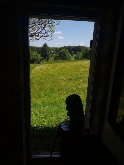 Gite Le Onze Beauval Saint-Dizier-Leyrenne Exterior photo